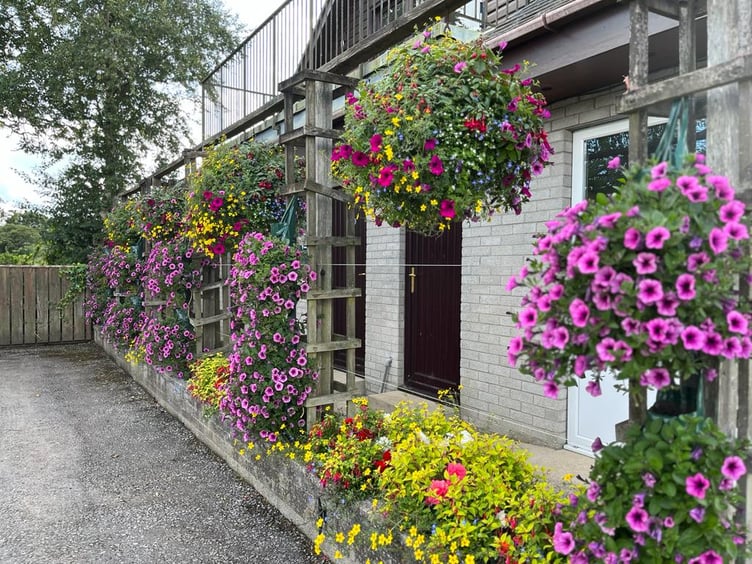 Saundersfoot in Bloom