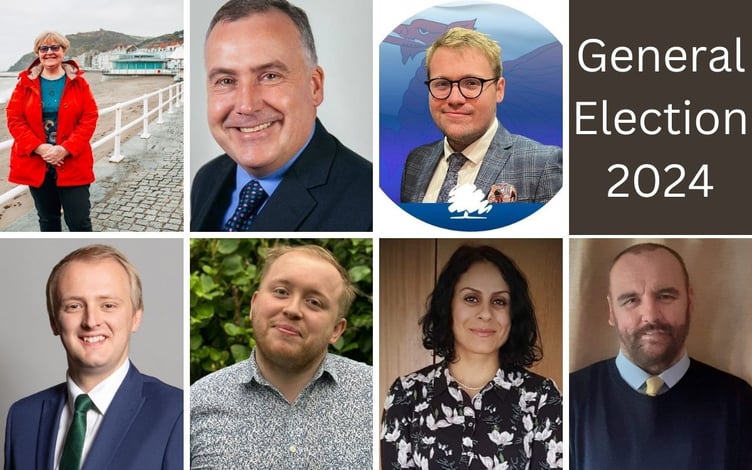 Ceredigion candidates