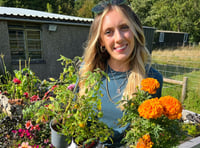TV gardener calls on people of Wales to reduce pesticide use