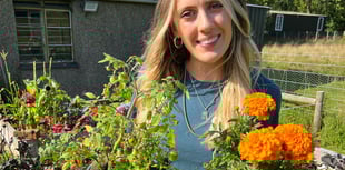 TV gardener calls on people of Wales to reduce pesticide use