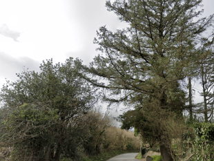 Resident requests 20mph limit for Kilgetty road