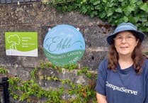 Calling all Tenby garden volunteers!