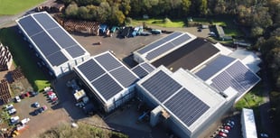 Puffin Produce wins award for rooftop solar projects