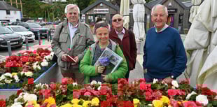 Saundersfoot skips Wales in Bloom for RHS contest entry