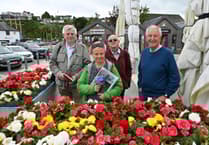 Saundersfoot skips Wales in Bloom for RHS contest entry