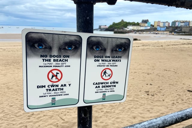 Dog owner vows never to return to Tenby again after being fined £75