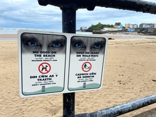 Pembrokeshire Council's dog beach rules questioned