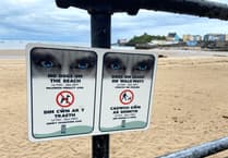 Dog restrictions on Pembrokeshire beaches debated