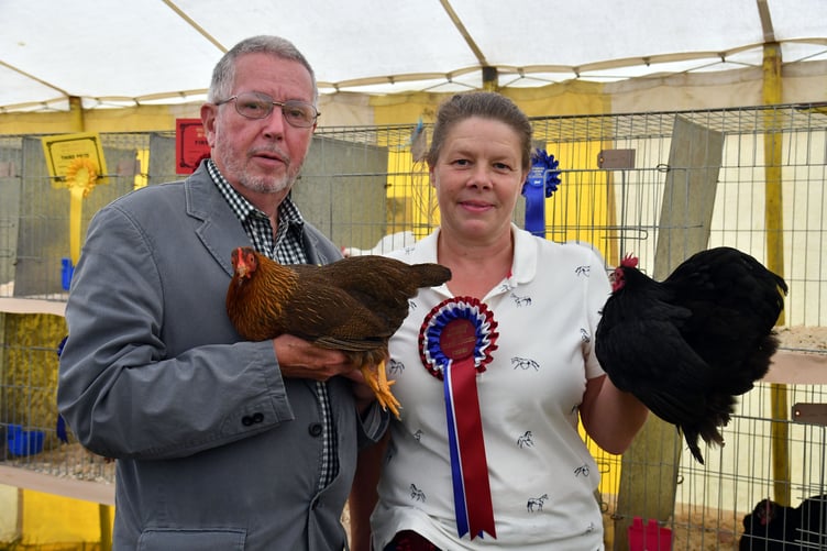 Pembroke Town & Country Show, Lamphey - hens