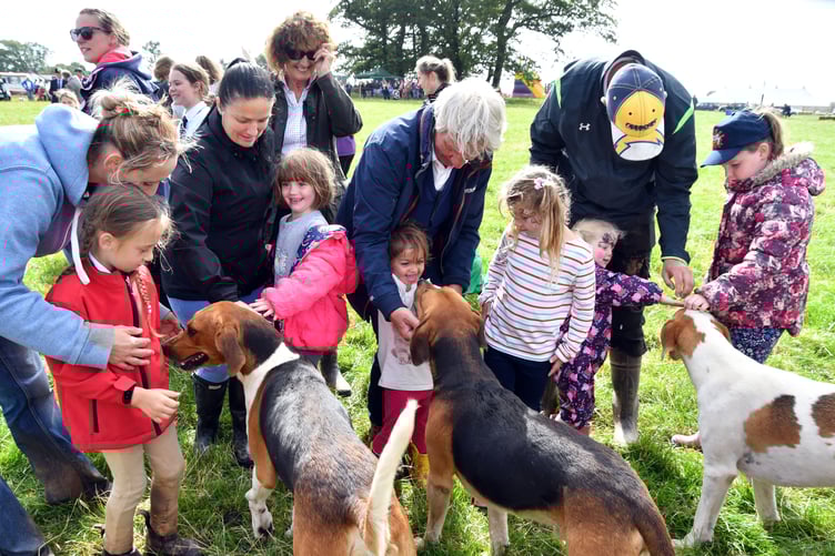 Pembroke Town and Country Show, Lamphey
