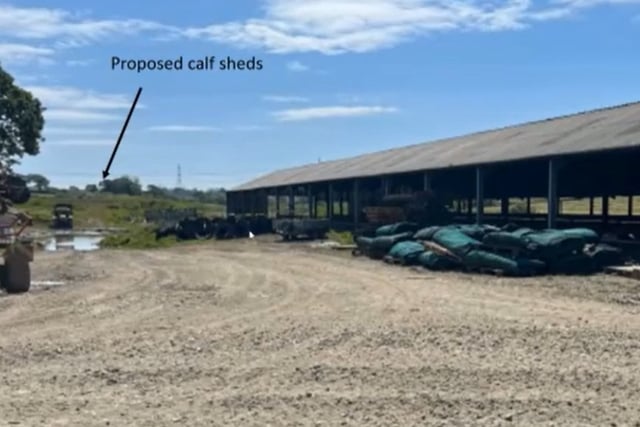 Welfare buildings for dairy farm near Kilgetty expected to be approved