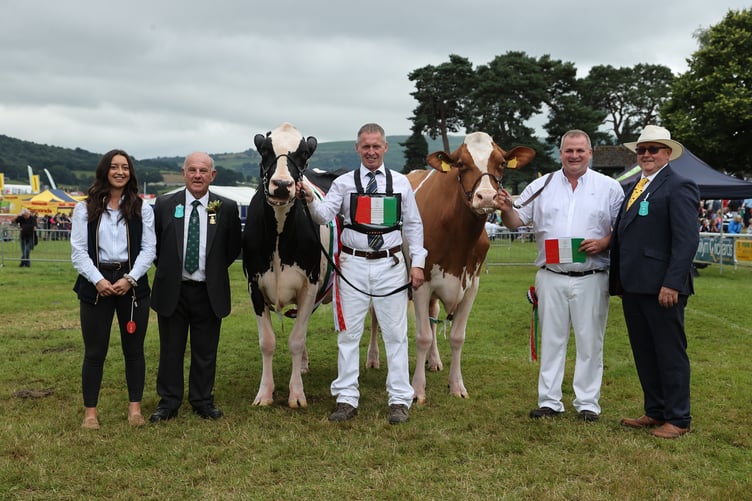 Royal Welsh