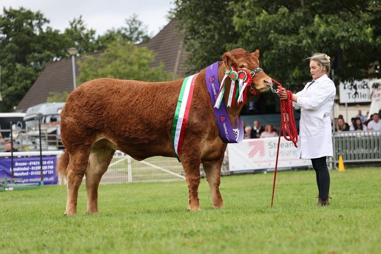 Royal Welsh