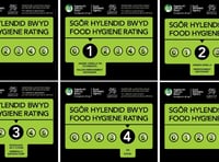 Food hygiene inspector shortage hits Carmarthenshire Council efforts