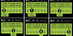 Food hygiene inspector shortage hits Carmarthenshire Council efforts