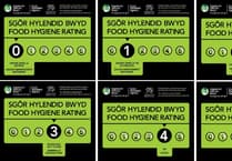 Food hygiene inspector shortage hits Carmarthenshire Council efforts