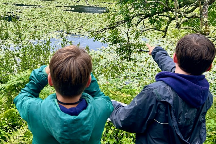 St Teilo’s Tenby pupils spotting wildlife at Bosherston Lily Ponds