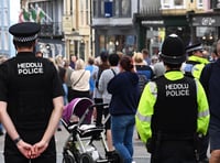 Warning over Welsh police merger risks