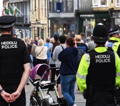 Warning over Welsh police merger risks