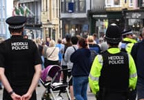 Warning over Welsh police merger risks