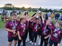 Cresselly win Pembroke County Cricket junior final against St Ishmaels
