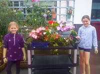 Tenby pupils answer SOS after vandals hit floral displays