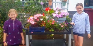 Tenby pupils answer SOS after vandals hit floral displays