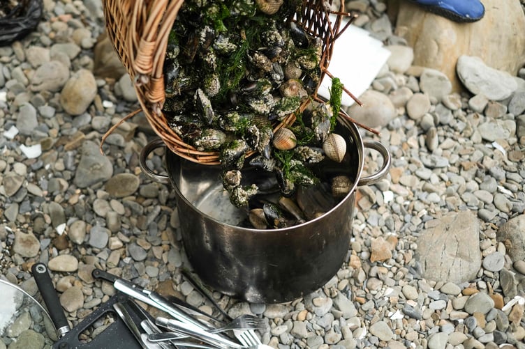 Pembrokeshire Coastal Foraging with Craig Evans