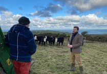 As cost of rural crime rises in Wales, Kurtz points to ‘underlying problem’