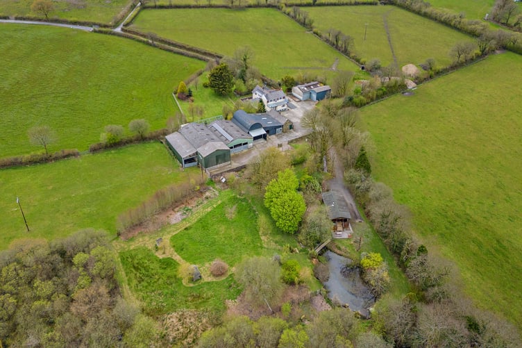brynmeini