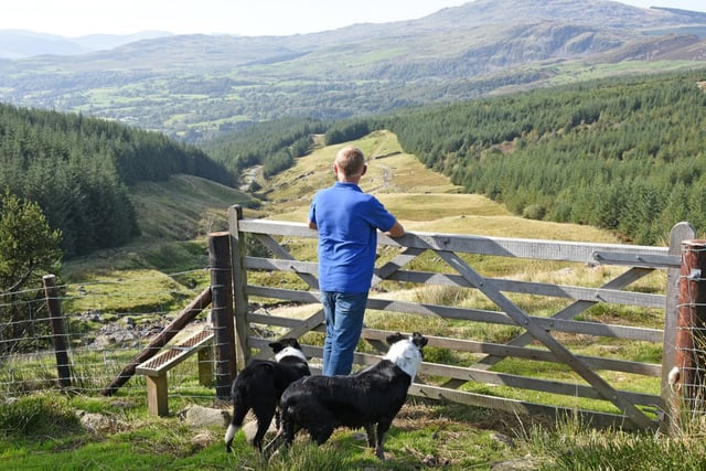 A new landscape for Welsh farmers