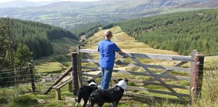 A new landscape for Welsh farmers
