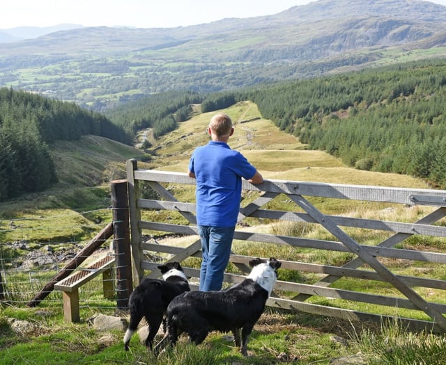 A new landscape for Welsh farmers