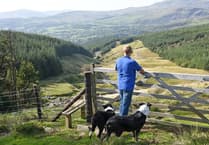 Editorial:  A new landscape for Welsh farmers