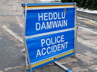 Police appeal after A40 collision deaths
