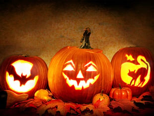 Spotlight on Welsh history and Halloween at Tenby Museum