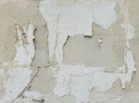 Wales Ombudsman investigates social housing disrepair concerns