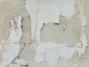 Wales Ombudsman investigates social housing disrepair concerns