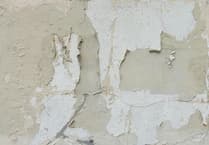 Wales Ombudsman investigates social housing disrepair concerns