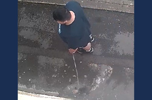 dog fouling