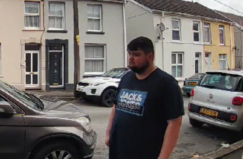 Dog fouling carmarthen