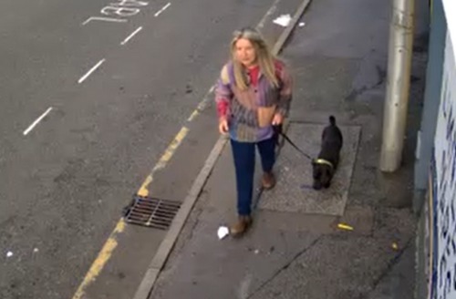 dog fouling