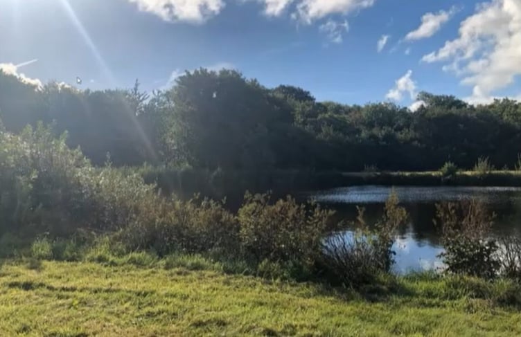 An application to build holiday chalets at a trout fishery near Fishguard was again backed by planners.