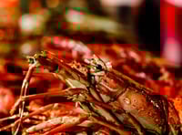 WATCH: Welsh Government’s lavish ‘lobster kebabs’ spending in the USA