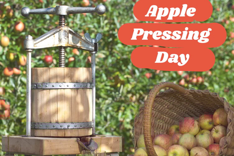 Apple Pressing Day