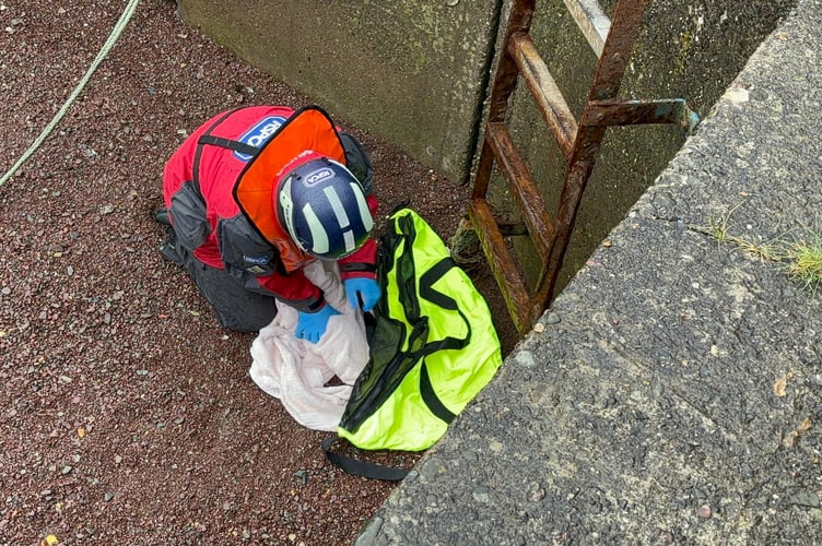 RSPCA Inspector Keith Hogben and RSPCA Animal Rescue Officer and Wildlife Officer Ellie West were called, and were able to safely catch him and take him away for examination.