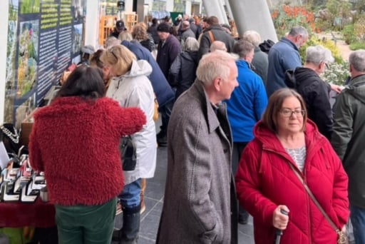 Glasshouse crowded at National Botanic Garden of Wales Antiques Fair and Vintage Market