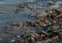 How much more crap can our waterways take?