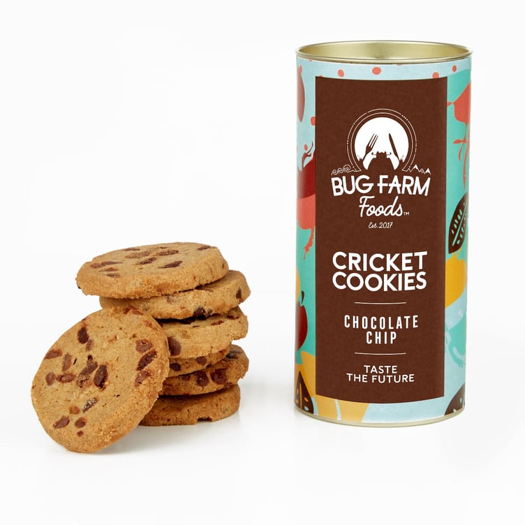 Dr Beynon’s Bug Farm