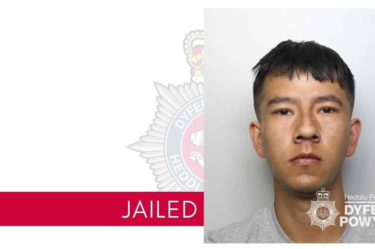 Jivan Dean, of Llandeilo, inflicted life-changing injuries on his victim during the assault at Tipi Valley on August 14, 2024.